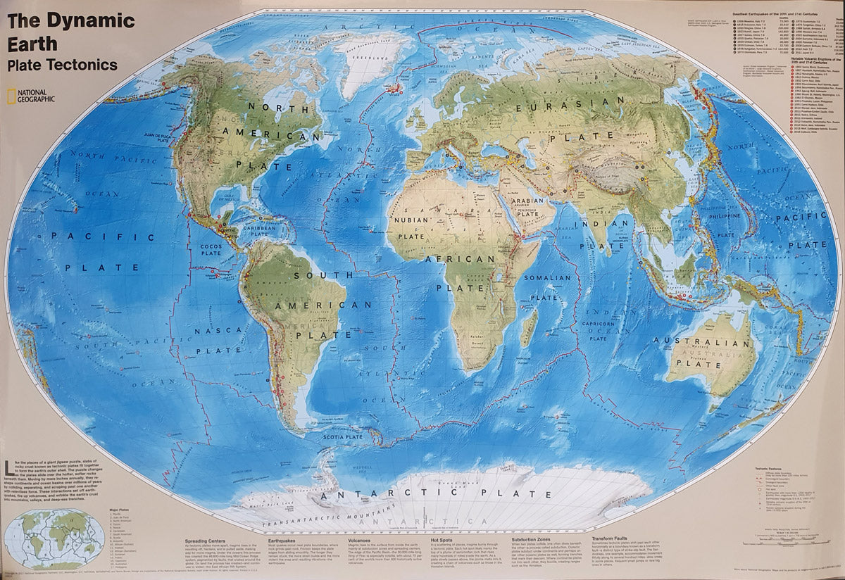 The dynamic world map