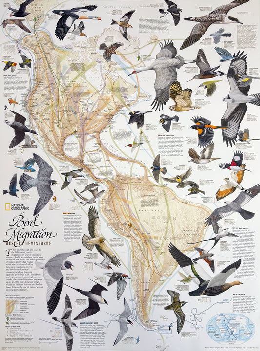 Map of North America in the Age of Dinosaurs
