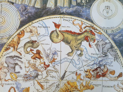 A replica of the zodiac map